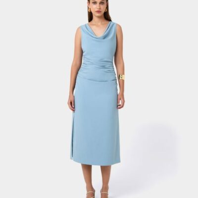 Forcast Serena Cowl Neck Dress