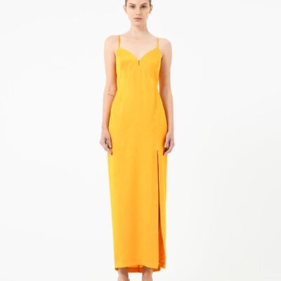 Forcast Muse Backless Maxi Dress